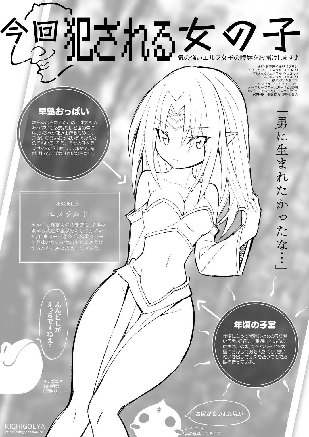 異種姦風俗街（4） ゴブリン軍団×女エルフ ファンタジー・拘束・巨乳 サンプル7ページ目（キチゴエヤ）
