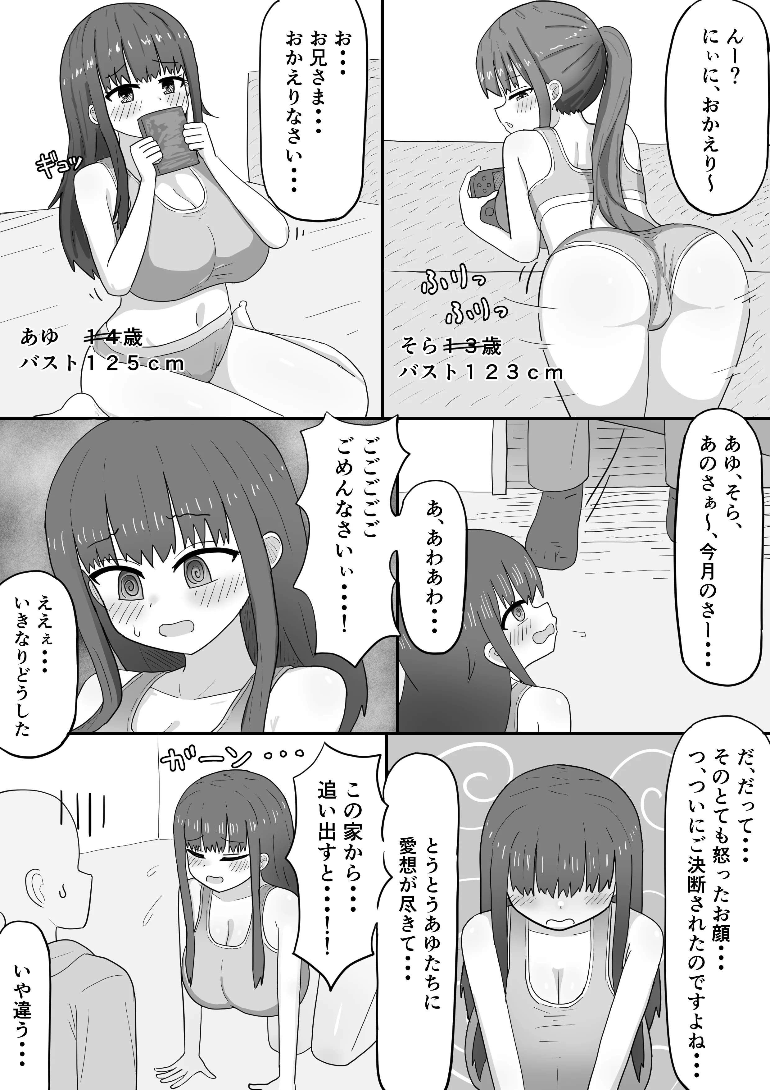 家で飼ってる引きこもり巨乳義妹×2と勢いで孕ませエッチした 巨乳・中出し・フェラ サンプル3ページ目（にしかわ屋）