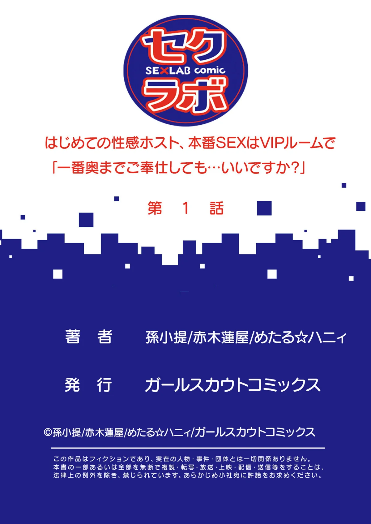はじめての性感ホスト、本番SEXはVIP 第1巻 OL 巨乳 素人 27ページ