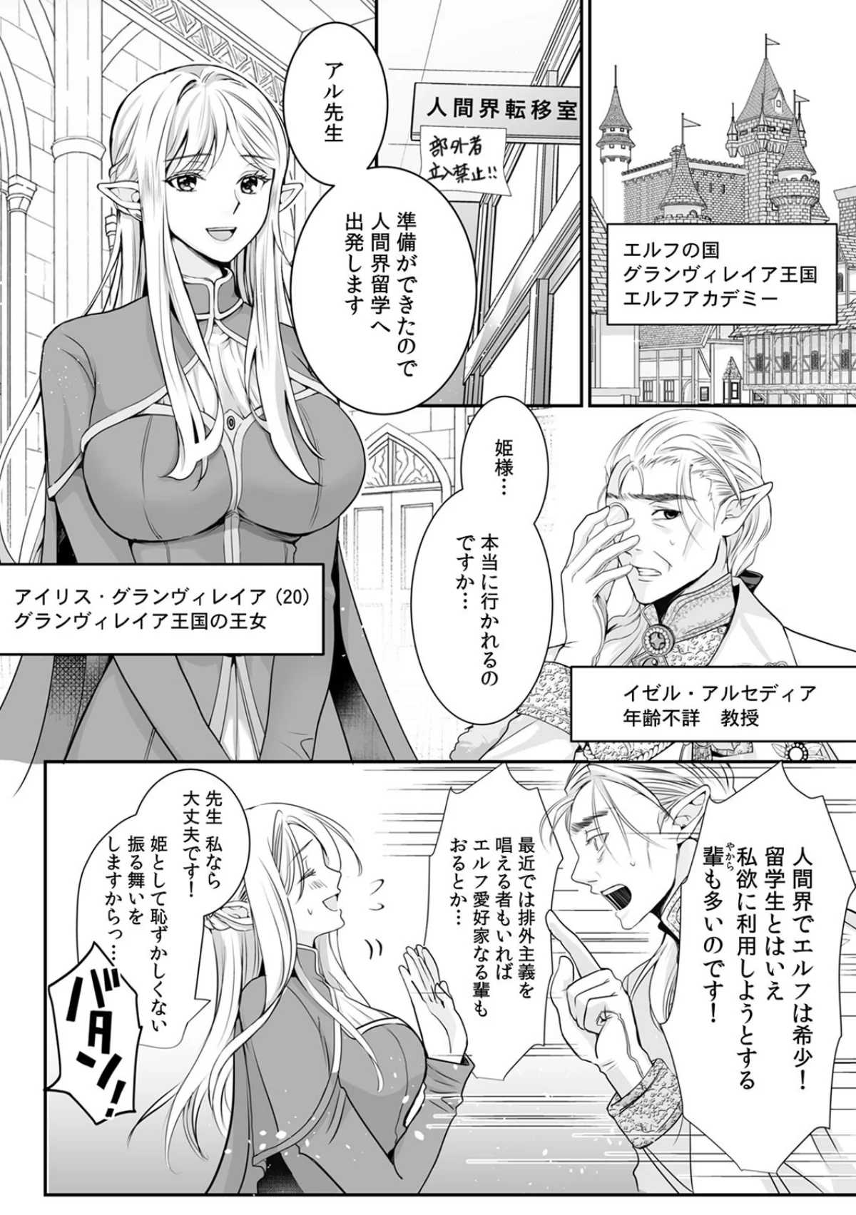 巨乳エルフ姫、人間の「欲棒」を教え込まれ 第1巻 ファンタジー 処女 お姫様 3ページ